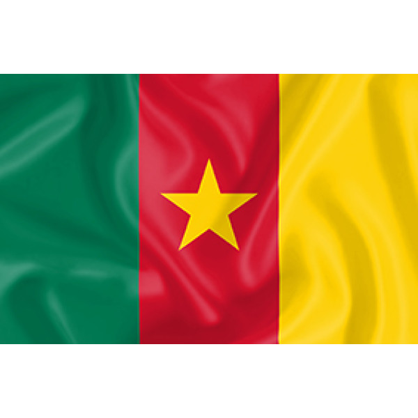drapeau cameroun - Journal Intégration